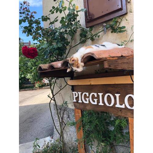 PIGGIOLO