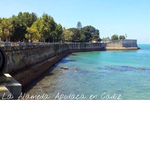 Piso 3 dorm 2 baños Aire Acond.ALAMEDA Cadiz