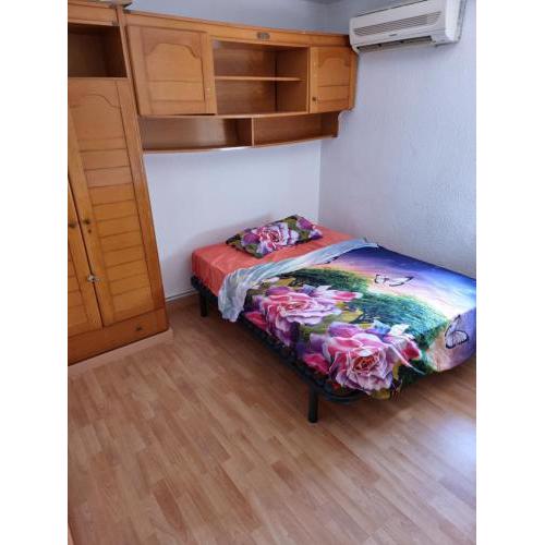 Piso felicia