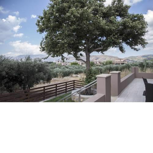 Platanus House - NEW