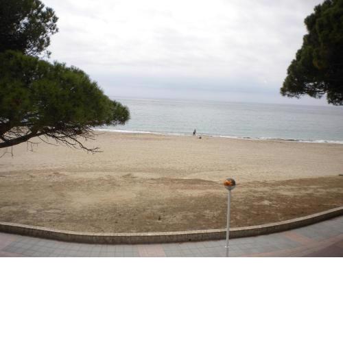 PLAYMAR