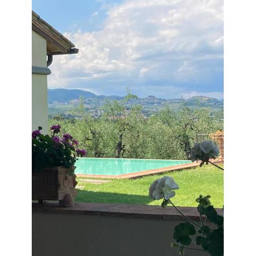 Podere agli Arrighi