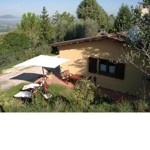 Podere Caldaruccio La Pineta - Bungalow