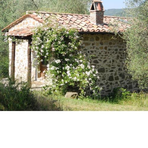 Podere di Maggio - Casa Olivi