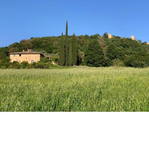 Podere FonteBernardi casa con vista su Pienza