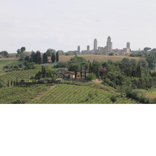 Podere Vigna Del Sole