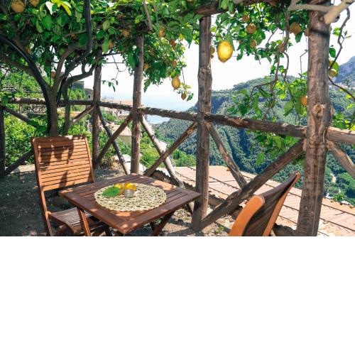 Poggio Angelarosa: Lemon Garden Stay&Relax