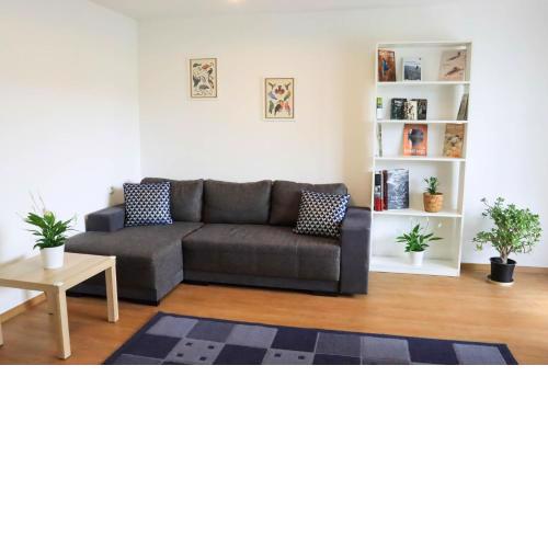 Pohodlný apartmán s ptačí zahradou