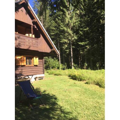 Pokljuka - brunarica ob poti Juliana trail