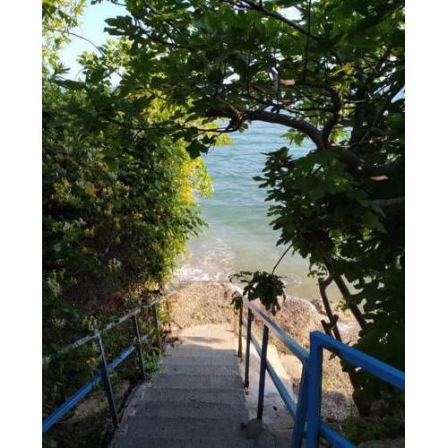 Popi' s apartment 50 metres from the sea!