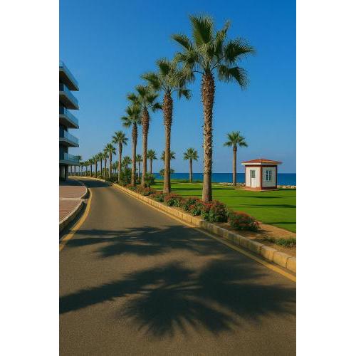 Port Said city, Damietta Port Said coastal road nop4036