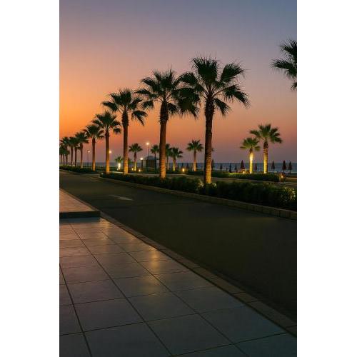 Port Said city, Damietta Port Said coastal road num2465
