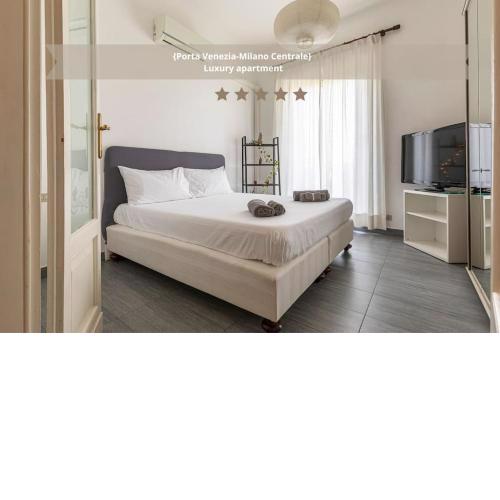 {Porta Venezia-Milano Centrale} Luxury apartment