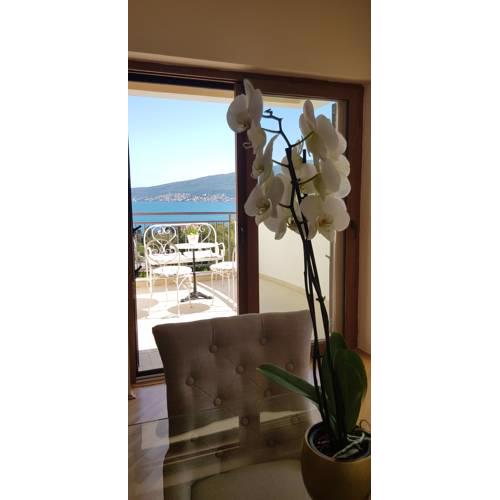 Porto Bello ( Lux apartment with pool)