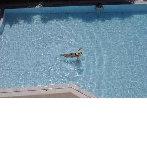 Porto Plazza Hotel