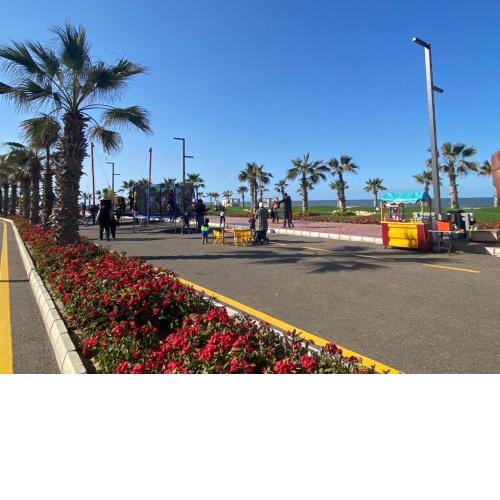 Porto Saeed rentals 1