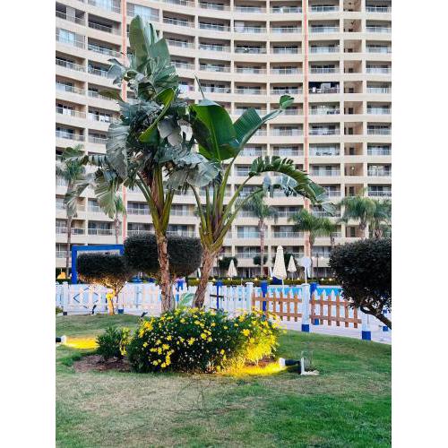 Porto Sokhna Panorama Family only