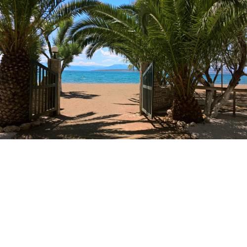 Posidon Bungalows