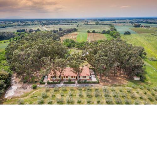 Posidonia 5 - Bilocale con soppalco