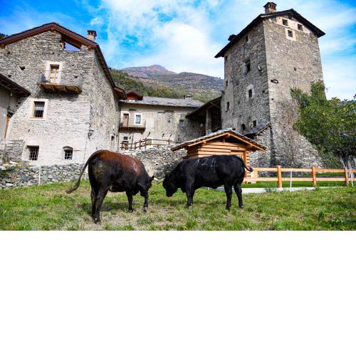 Povillus - Dimora Medievale