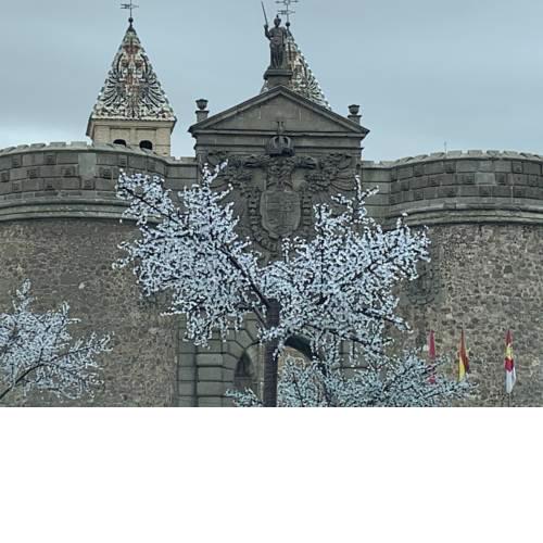 Pozo Grande II