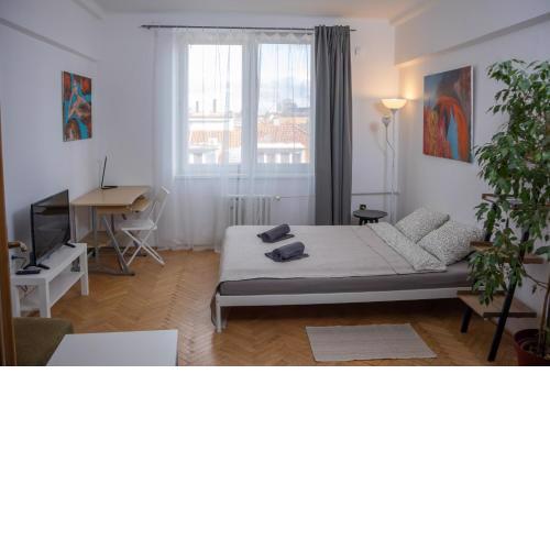 Practical flat Nivy centre
