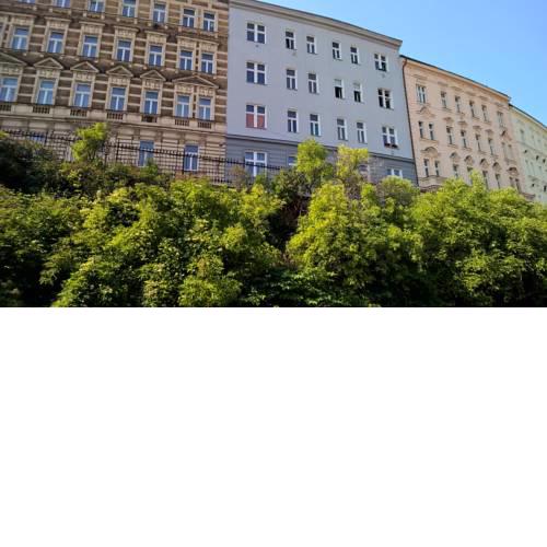 Prag 3 / schöne, renovierte Wohnung