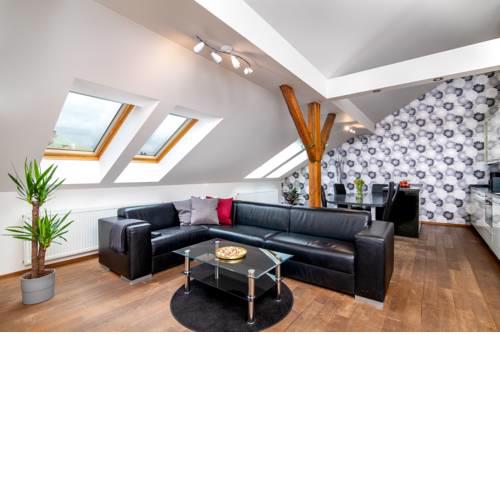Prague Central Bright Spacious Penthouse #103