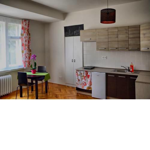 Prague Flower Premium Apartment