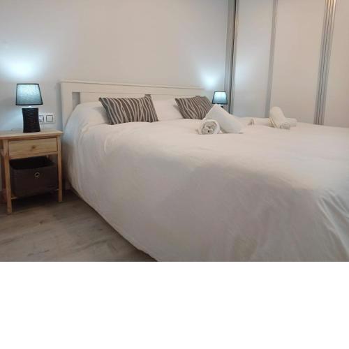 Precioso apartamento céntrico en Suárez de Salazar
