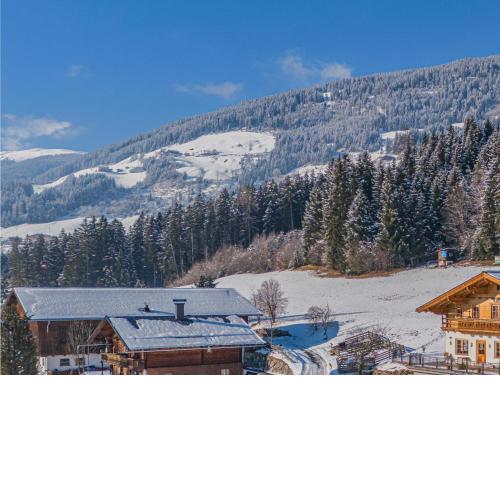 Premium Apartment Almrausch