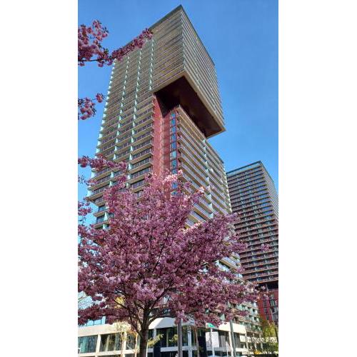 Premium Apartment, Family friendly