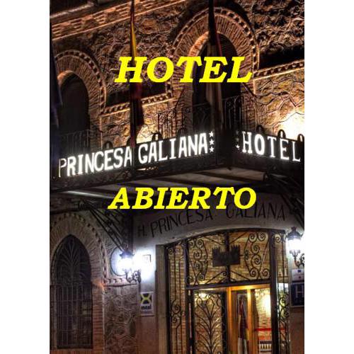 Princesa Galiana