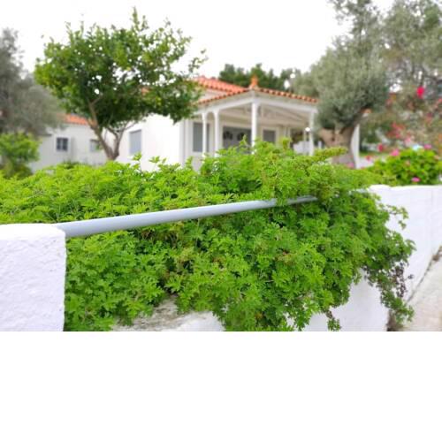 Private and quiet house near Limnionas beach