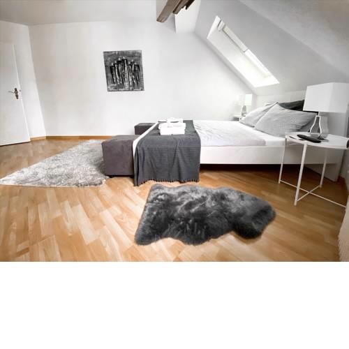 Private Apartment Zurich Center (1.5BR)
