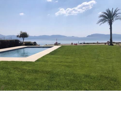Private beachfront villa with pool