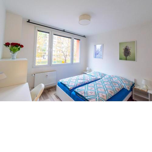 Private sunny room 2, SkyShowtime, 7 minutes to center