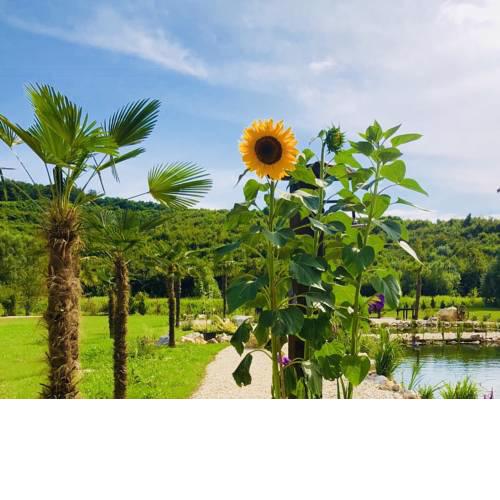 Private Village - Adults Only