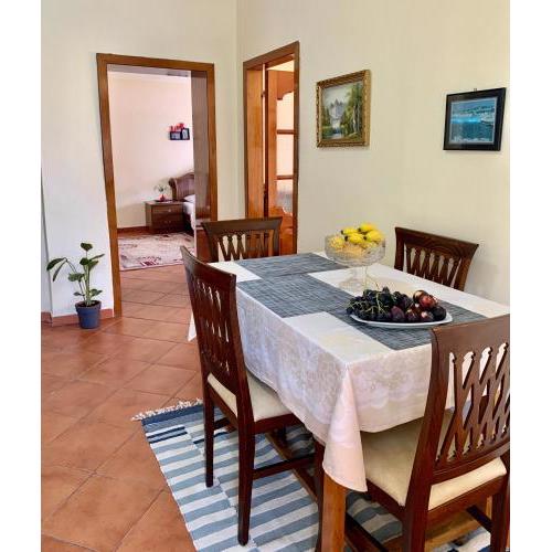 PUMI Home