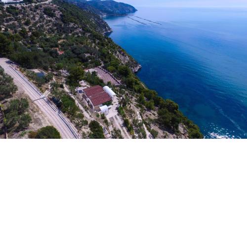 Punta Palivi