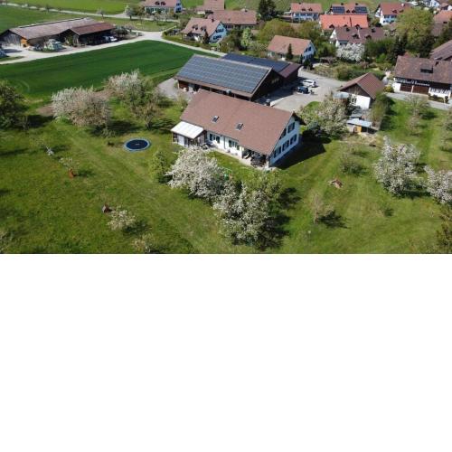 Pünthof