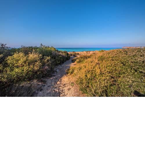 QR #Athena - Unique Beach Home surrounded by Nature