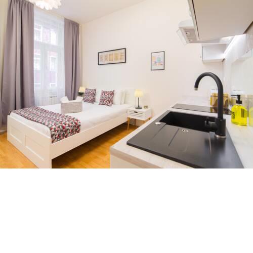 Quaint Urban Ferdinand Palace Apartment