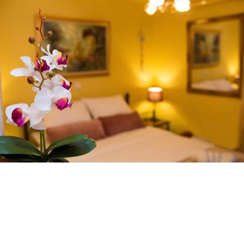 Quiet suite in the center of the city