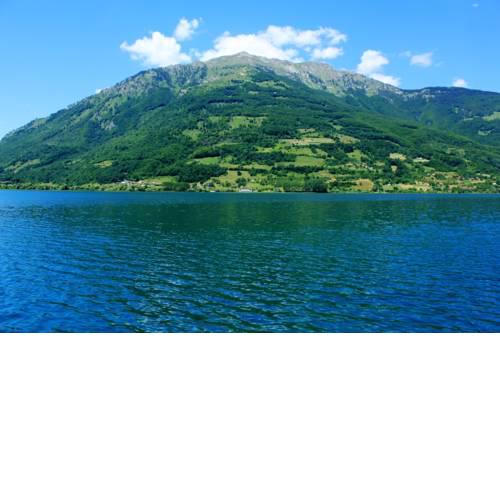Radenovic apartmani