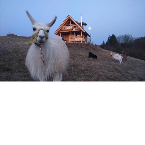 Ranch at Geta