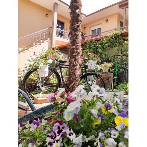 Rania's guest house