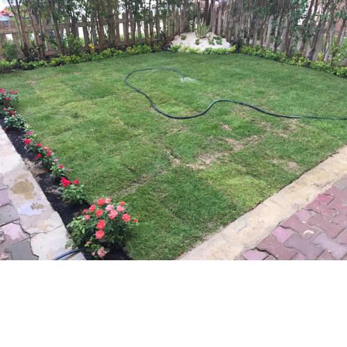 Rehab - 4th Stage - Ground Floor with Garden
