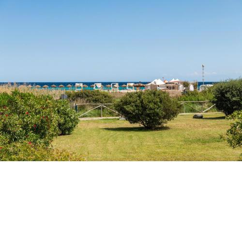 Rei Playa10
