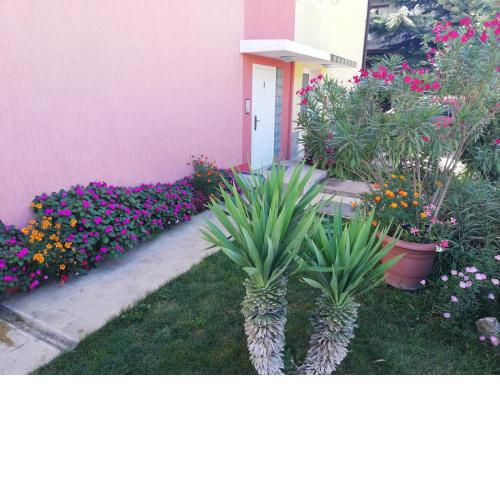 Relax Apartments
